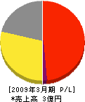 弘西商事 損益計算書 2009年3月期