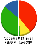 川名石材工業 貸借対照表 2009年7月期