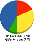 上野管工 貸借対照表 2011年9月期