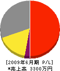 緑華園 損益計算書 2009年6月期