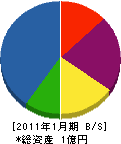 丸十岡山砂利 貸借対照表 2011年1月期