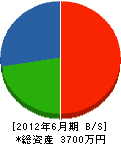 大川吉建設 貸借対照表 2012年6月期