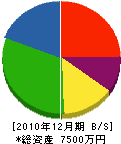姫子建設工業 貸借対照表 2010年12月期