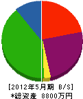横山塗装店 貸借対照表 2012年5月期