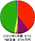 大澤商店 貸借対照表 2012年3月期