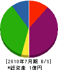 大野塗装店 貸借対照表 2010年7月期