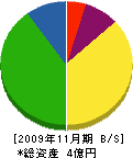 徳島美装工業 貸借対照表 2009年11月期