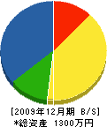 藤井造園 貸借対照表 2009年12月期