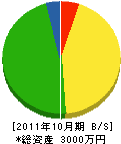 秋山組 貸借対照表 2011年10月期