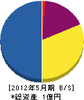 大昭和建設 貸借対照表 2012年5月期