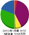 江口電気 貸借対照表 2013年1月期