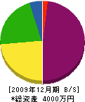 ユカワ開発 貸借対照表 2009年12月期