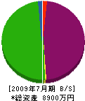 川本工務店 貸借対照表 2009年7月期