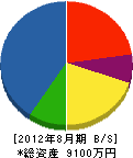 大槻建設 貸借対照表 2012年8月期