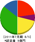 佐野藤建設 貸借対照表 2011年7月期