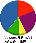 川名工務店 貸借対照表 2012年6月期