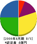 九建 貸借対照表 2008年4月期 九建 貸借対照表 2008年4月期