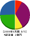 岡本採石造園 貸借対照表 2009年6月期