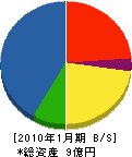 山矢商会 貸借対照表 2010年1月期