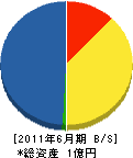 長倉工易 貸借対照表 2011年6月期