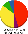 伊藤電気工事 貸借対照表 2009年4月期