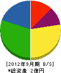 鎌田工業 貸借対照表 2012年9月期