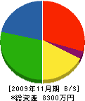 伊藤ライニング 貸借対照表 2009年11月期