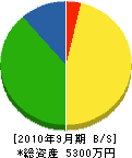 駿河設備 貸借対照表 2010年9月期