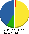 中田 貸借対照表 2010年8月期
