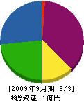 阪神土木建設 貸借対照表 2009年9月期