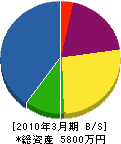岩田造園 貸借対照表 2010年3月期