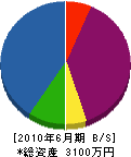 塚本土建工業 貸借対照表 2010年6月期