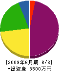矢沢建設工業 貸借対照表 2009年6月期