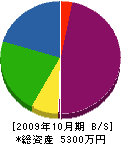 庄司建設 貸借対照表 2009年10月期