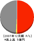 木村産業 損益計算書 2007年12月期