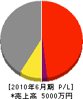 オフィスヨシダ 損益計算書 2010年6月期