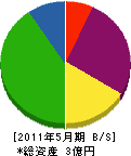 井原組 貸借対照表 2011年5月期
