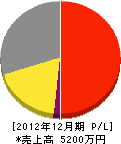 本田開発コンサルタント 損益計算書 2012年12月期