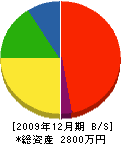 藤電気工事 貸借対照表 2009年12月期