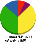 東京電機工業 貸借対照表 2010年3月期