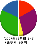 旭登興業 貸借対照表 2007年12月期