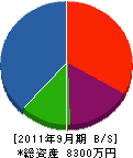 埼玉文化産業 貸借対照表 2011年9月期