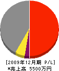 宮崎工業 損益計算書 2009年12月期