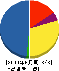 森脇組 貸借対照表 2011年6月期