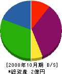 共栄仙台 貸借対照表 2008年10月期