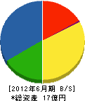 豊國建設 貸借対照表 2012年6月期