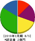 竹田電気 貸借対照表 2010年3月期