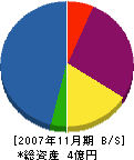 富山工業 貸借対照表 2007年11月期