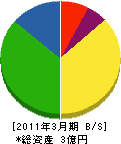 竹山建設 貸借対照表 2011年3月期