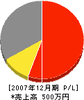 入江土木 損益計算書 2007年12月期